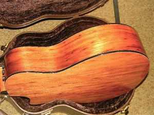 View the album Taylor GSCE 12-String, Secret Palo Escrito Rosewood, Secret Set #22