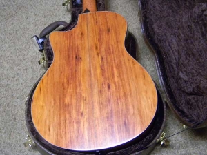 View the album Taylor GSCE 12-String, Secret Palo Escrito Rosewood, Secret Set #22