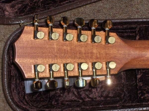 View the album Taylor Custom 12-String GSCE, Amazon Rosewood