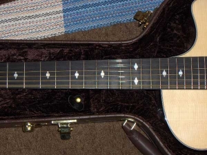 View the album Taylor Custom GSCE 12-String, Secret Unknown Rosewood, Set #7 - SOLD