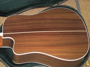 New!...DC-Aura, Gloss Top, East Indian Rosewood/Sitka Spruce
