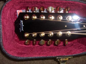 View the album Taylor Custom GSCE, 12-String, Secret Amazon Rosewood, Set #9 - SOLD