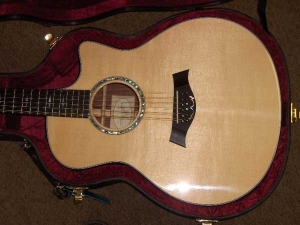 View the album Taylor Custom GSCE, 12-String, Secret Amazon Rosewood, Set #9 - SOLD