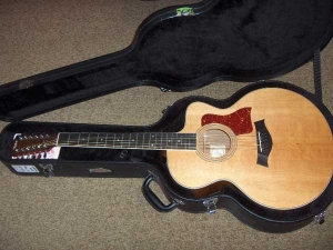 View the album Taylor 455CE