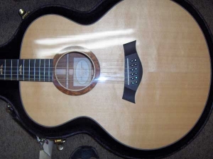 View the album Taylor 555 ES, Limited Edition 7