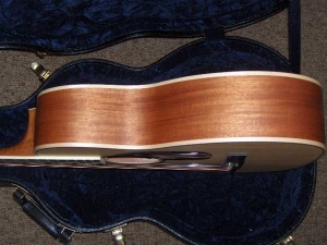 View the album Larrivee P-03 Mahogany/Italian Alpine Limited Edition! 