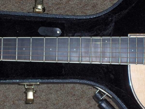 View the album Larrivee Custom LV-09E Walnut, B-band blenderLV-05E