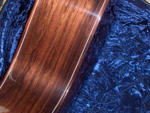 View the album Larrivee Custom LV-10 Brazilian