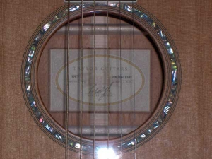View the album Taylor GC-5