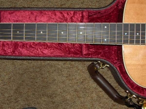 View the album Taylor GC-5