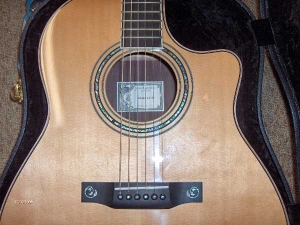 View the album Larrivee LV-09E, CUSTOM, Tiger Headstock