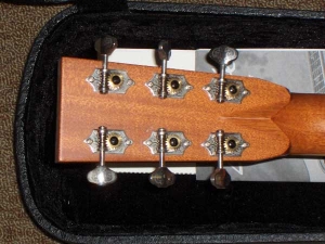 View the album Larrivee OMV-50