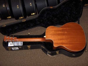 View the album Larrivee OMV-50