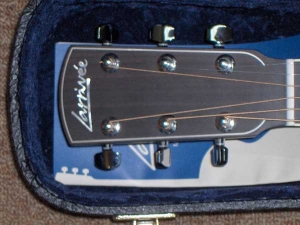 View the album Larrivee P-09, Custom Parlour guitar, Lacewood!