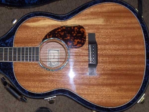 View the album Larrivee L-05, Custom
