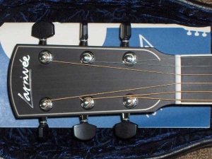 View the album Larrivee L-05, Custom