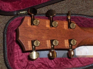 View the album Taylor 514 CE