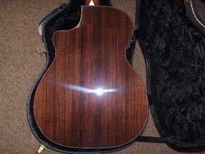 View the album Larrivee OMV-10E