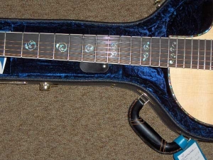 View the album Larrivee LV-10-12E