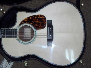 View the album Larrivee Custom LV-10E, Madagascar Rosewood and Italian Alpine Spruce
